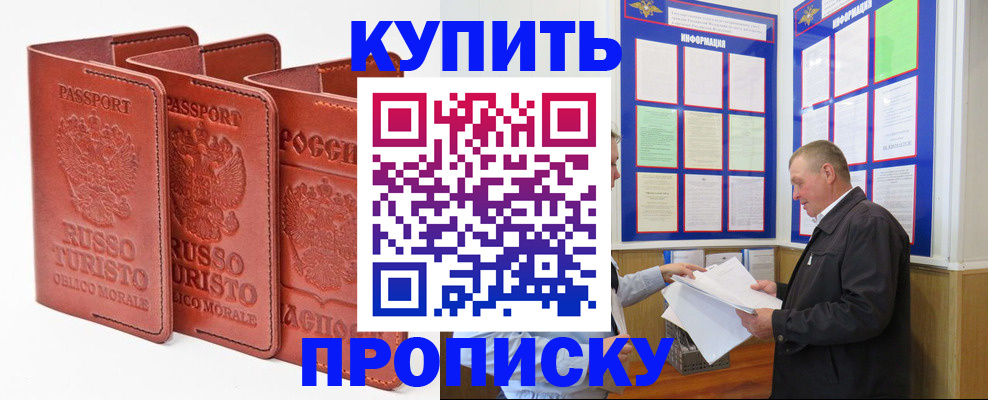 прописка в квартире в Мончегорске